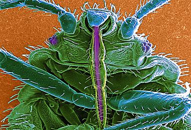 《奇异人生》原班人马打造的《Lost Records》将分为两部分 2025年2月18日推出第一部